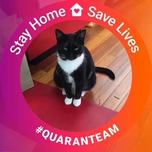 Meet your Posher, Beverly